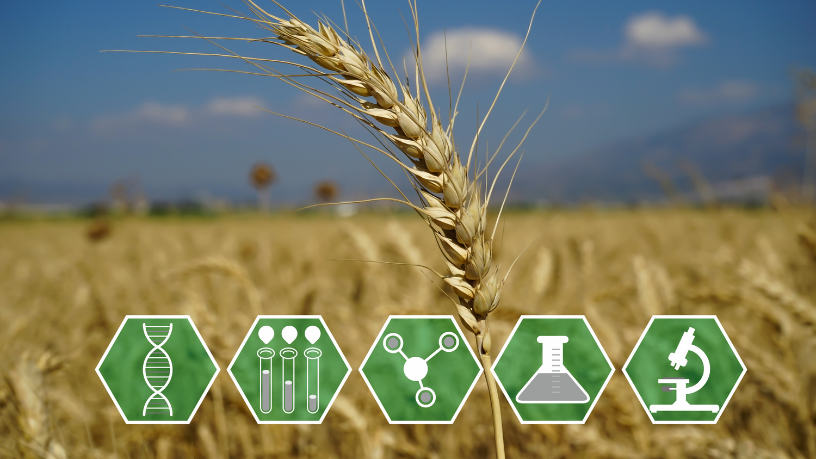 Entre inovação e sustentabilidade, João Eustáquio De Almeida Junior explica por que a agricultura regenerativa pode definir os próximos passos do mercado agrícola.