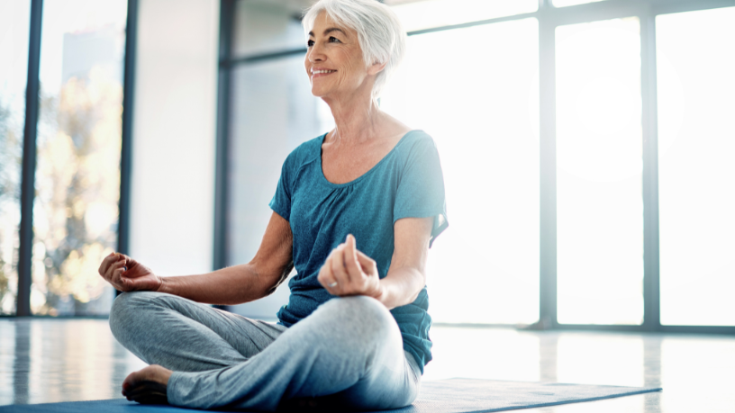 Sindnapi - Sindicato Nacional dos Aposentados, Pensionistas e Idosos